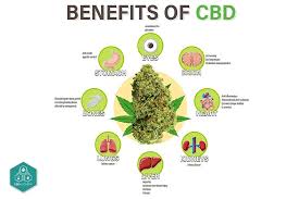 The Health Benefits of CBD