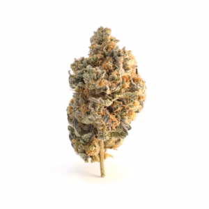 Blueberry pie