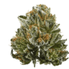 Bubbakush