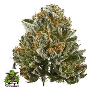 Bubbakush popcorn bud 🥬🥬