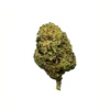 OC kush