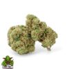 White Widow