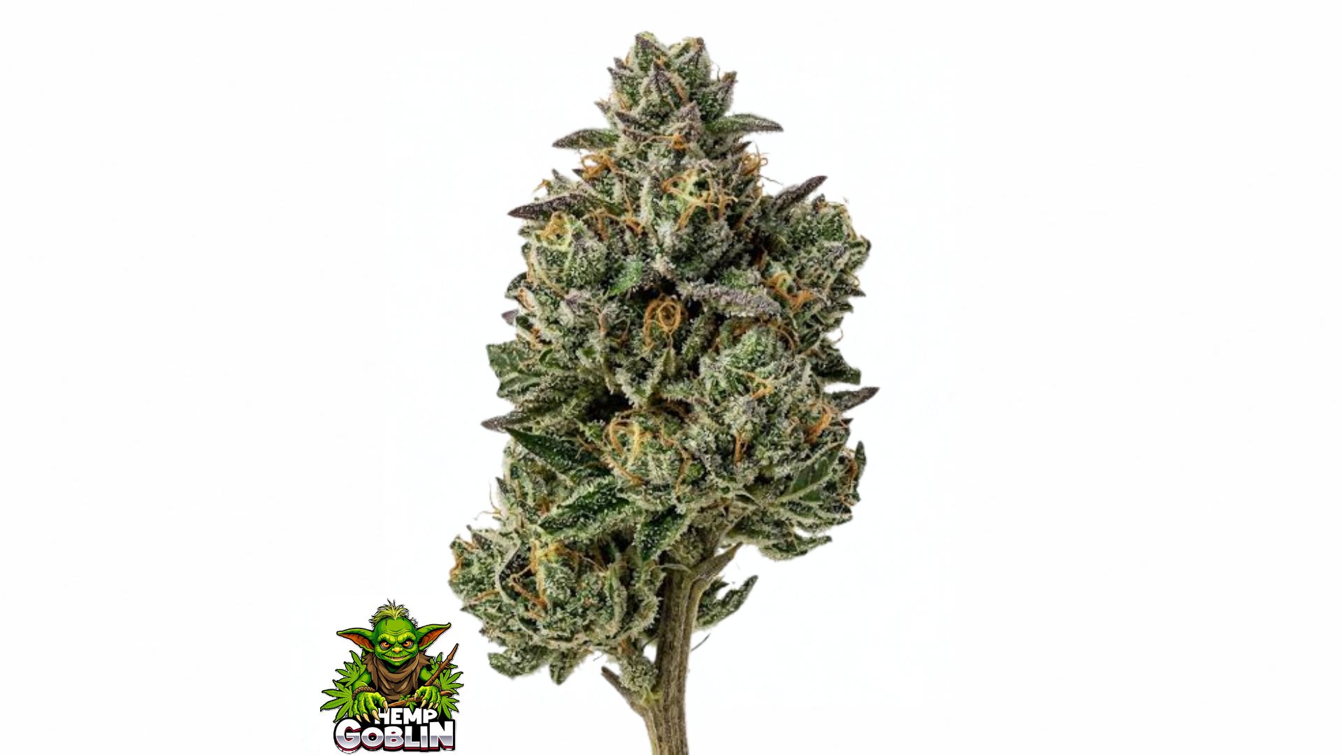 OG Kush