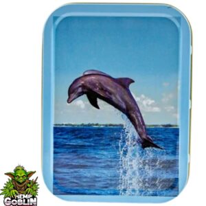 dolphin